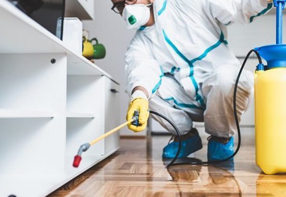 Pest Control